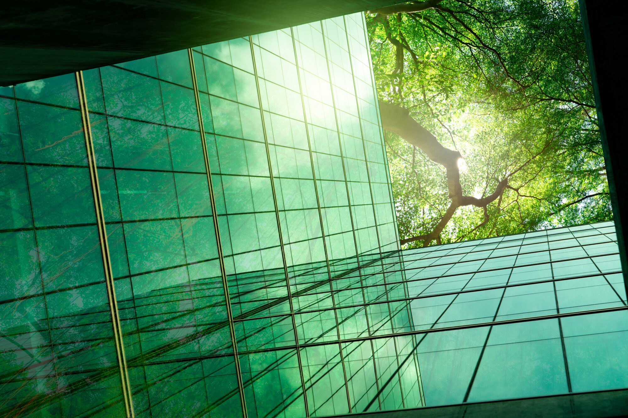 Sustainble green building Eco-friendly building in modern city ESG Sustainable glass office building with green tree Office with green environment Corporate sustainability Net zero emission - IMD Business School